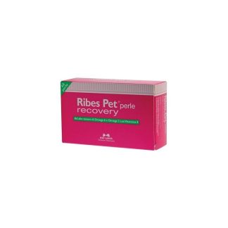 RIBES PET RECOVERY 60PRL
