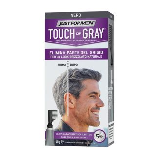 Just For Men Touch Of Gray Black 40G