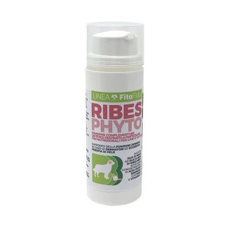 Ribesphyto Airless Bottle 40G
