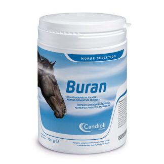 Buran Can 700G