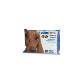 Iryplus Pocket Salviettine 20P