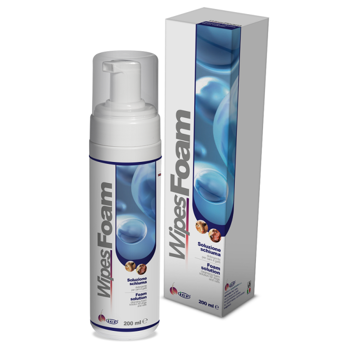 Wipes Foam 200Ml
