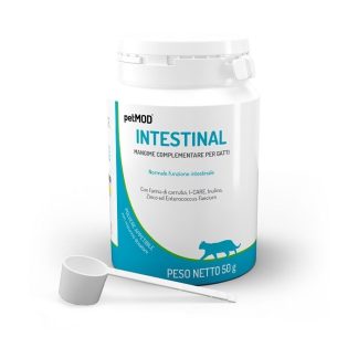 Petmod IntestinalCat Powder 50G