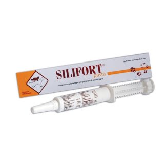 Silifort Pasta or Syringe 30G