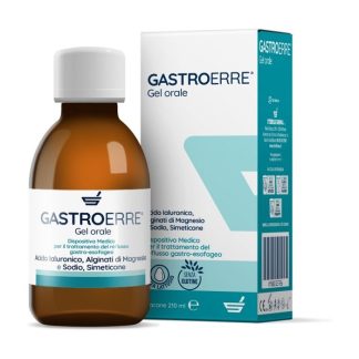 Gastroerre 210Ml