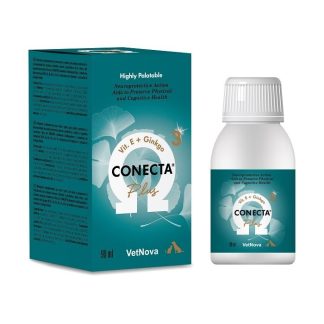 Conecta Plus 90Ml