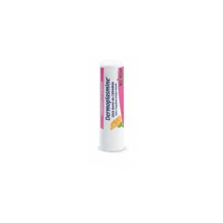 Boiron Dermoplasmine Lip Stick Cold