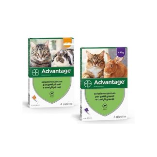 Advantage*4Pip 0.8Ml Spoton