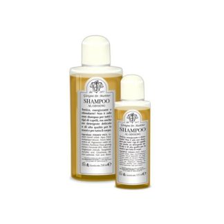 Dr. Giorgini Ginseng Shampoo 250Ml