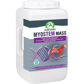 Audevard Massa miostematica