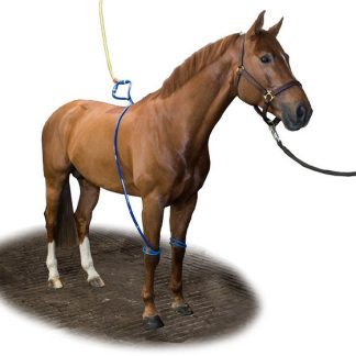 Equine Legcooler Supporto Respiratorio Bronchix Liq