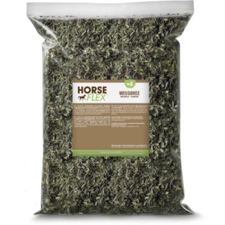 HorseFlex Piantaggine