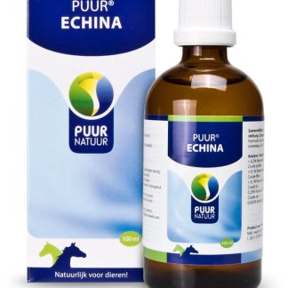 PUUR Echina Paard/Pony Cavallo e Pony